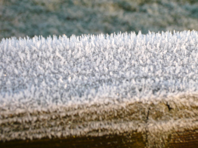 frostcrystals.jpg