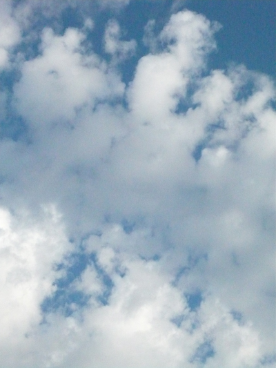 p1040891.JPG