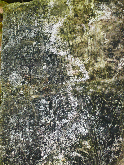 lichen-on-pot.jpg