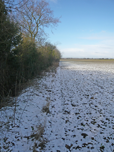 0-snow-along-the-hedge.jpg