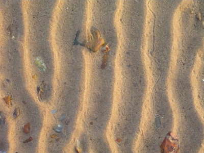 sand-ripples.jpg