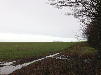 a corner field puddle