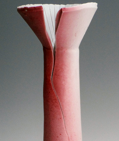 rose red detail