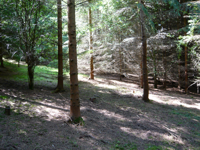 wood-slope.jpg