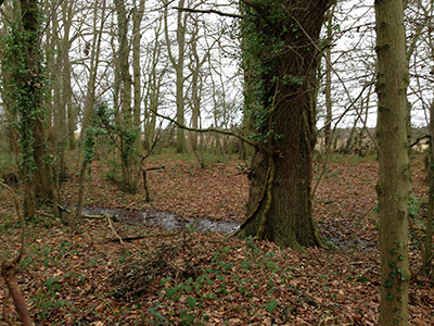 a wood ditch
