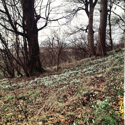 Jane Wheeler – Page 3 – photos, writing & painting, walking and drawing