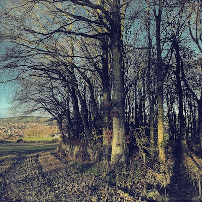 Jane Wheeler – photos, writing & painting, walking and drawing in Scotland