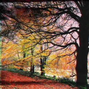 Jane Wheeler – photos, writing & painting, walking and drawing in Scotland